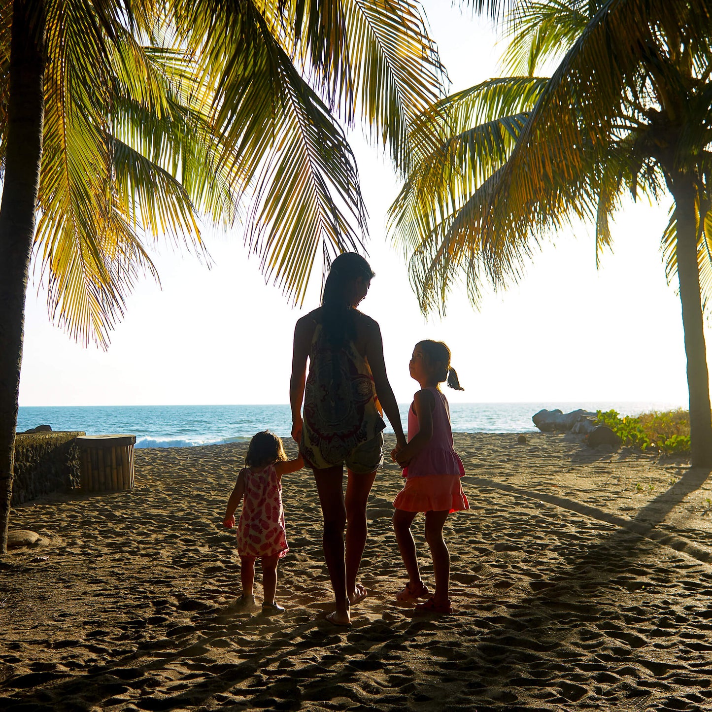 Family Package (priced for family of 4)