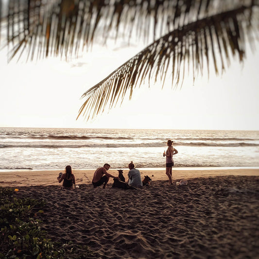 Green Season Relax & Yoga Couples Package (Priced for 2 people)