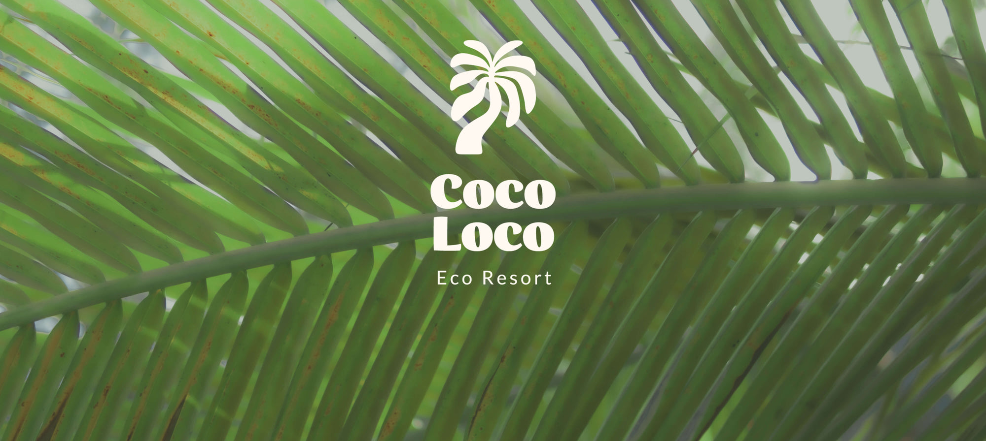 COCO LOCO Eco Resort